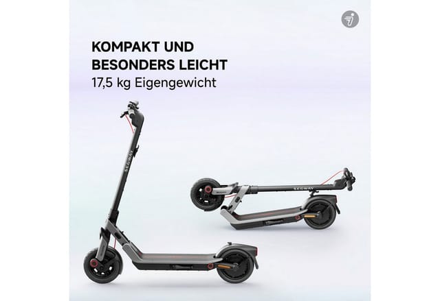 Segway E-Scooter E3 D, 20 km/h, (Ninebot E-Scooter), Schlauchlose selbstabdichtende Reifen