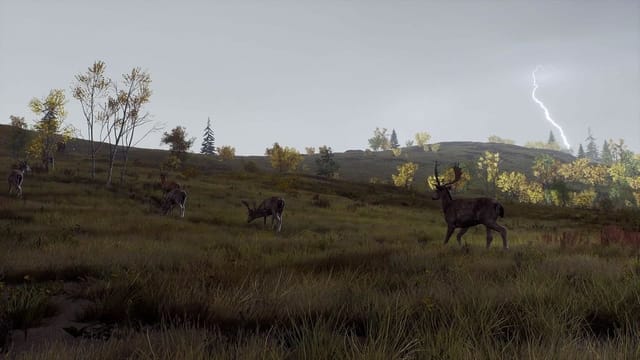 Way of the Hunter - Wild Expeditions PlayStation 5