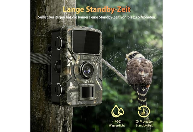 FANNOU Wildkamera 16MP 1080P FHD Infrarot (AuBenbereich, mit 32G TF Kard, mit Bewegungsmelder Nachtsicht, 0,8s Trig Jagdkamera)