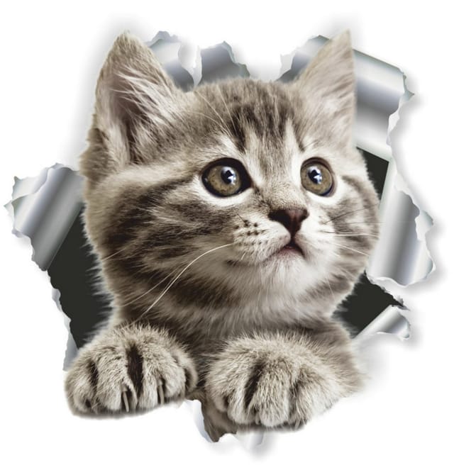 Hermann Schütz Aufkleber Hermann Schütz Aufkleber Einschussloch Katze