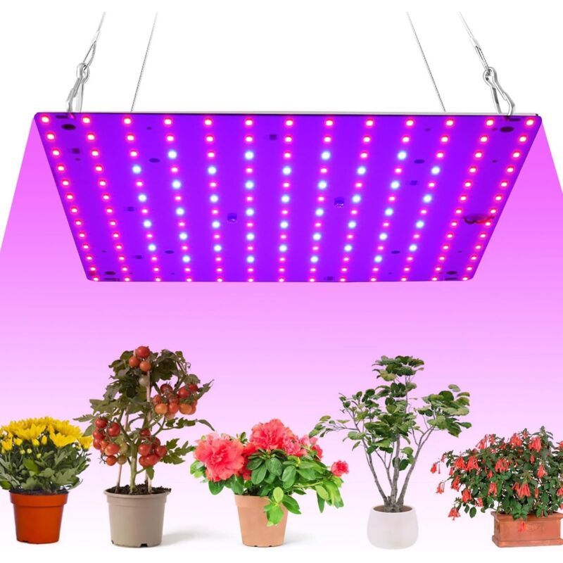 Pflanzenwachstums-led-lampe (169 Leds), Rot-blaues Spektrum, Kostengünstige Hängelampe 12w, Eu-stecker, Ideal Für Gewächshäuser/gemüse/blumen [energieeffizienzklasse F]