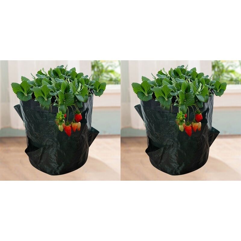 Anzuchtsäcke Für Erdbeeren. 2 Stück 18l/5 Gallonen Gemüsesack. Vliesstoff-pflanzsack Mit Fenster. Gartengemüsesack (23x28cm, 4 Öffnungen)