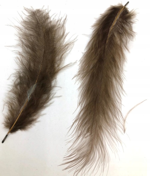 Braune Federn, 10-12 Cm, 50er-packung