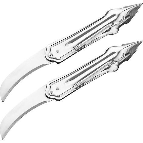 Küchenutensil Aus Edelstahl Zum Schälen