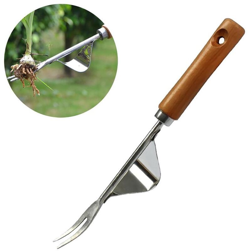 Manueller Unkrautentferner Gartenwerkzeug Aus Edelstahl Mit Holzgriff, 31 Cm Lang, 1 Stück