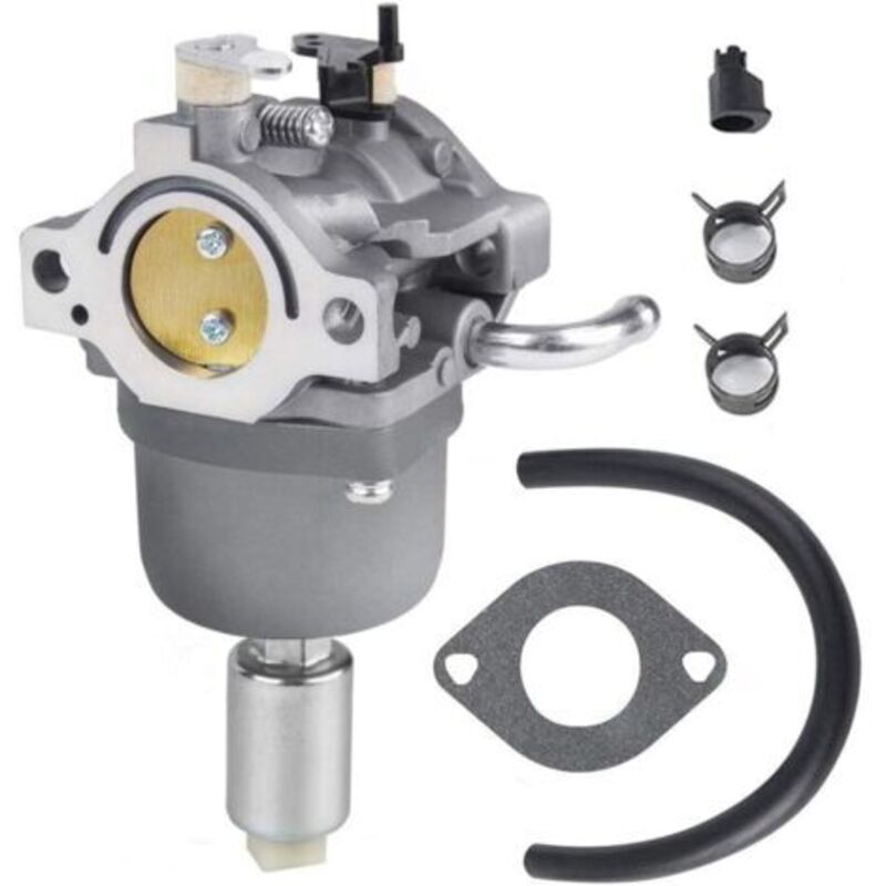 Ersatz-vergaser-kit Kompatibel Für Briggs & Stratton 18 Ps Intek-motor, Ersatzteilnummer 594593, 794572, 697141, 697190, 698445, 791888, 793224, 792358, 791858