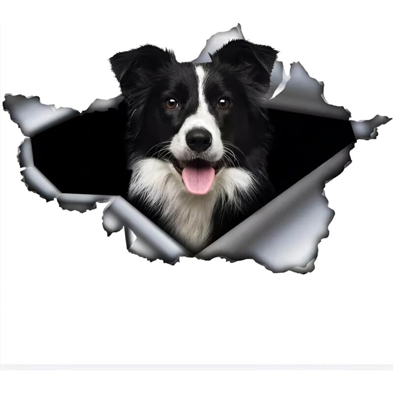 Autoaufkleber 25 Cm (9,8 Zoll) Lustiger Border-collie-aufkleber Border-collie Autoaufkleber Haustier Hund Aufkleber Wasserdicht 3d Zerrissen Metall Aufkleber