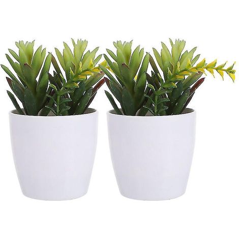 2 Bonsai-bäume Aus Kunststoff Mit Sukkulenten