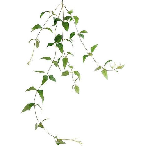 Künstliche Clematis Aus Rattan, Künstliche Zierpflanze Für Zuhause (grün) – 85,00 X 35,00 X 5,00 Cm – Grün