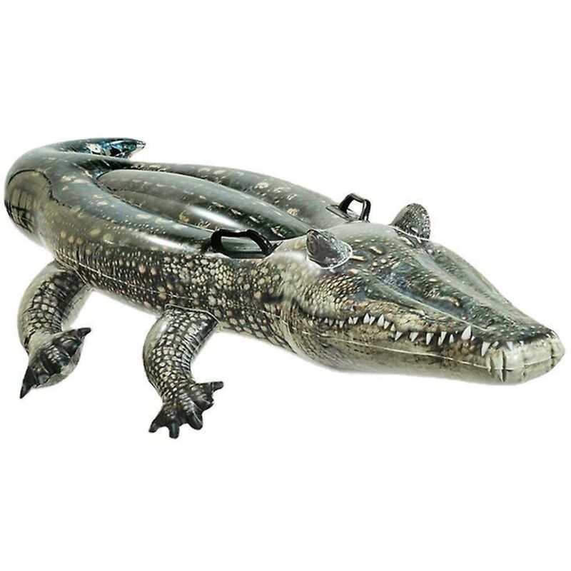 Alligatorboje Zu Pferd