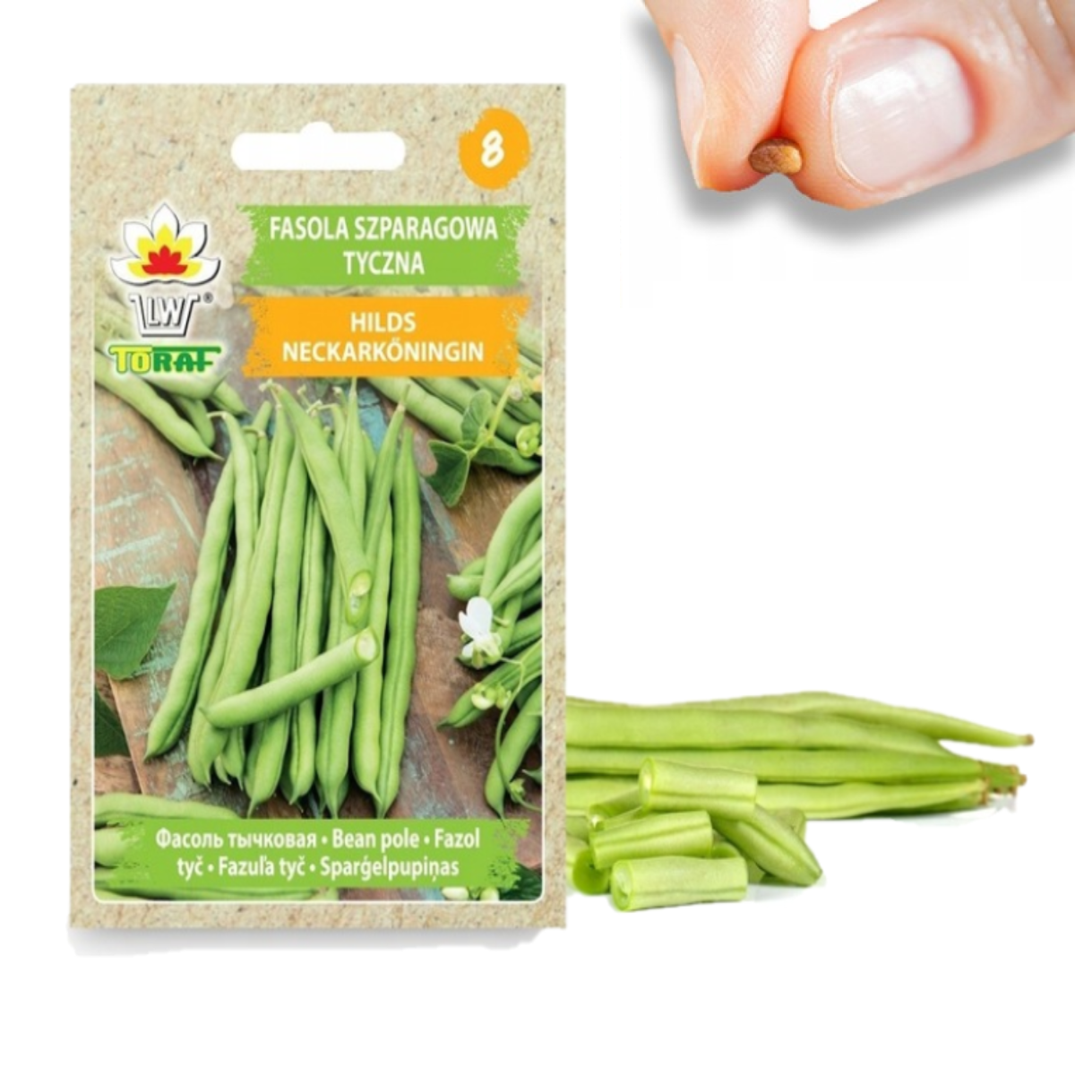 W1046 Grüne Bohnen Hilds Neckarkönigin Bohnensamen 10g