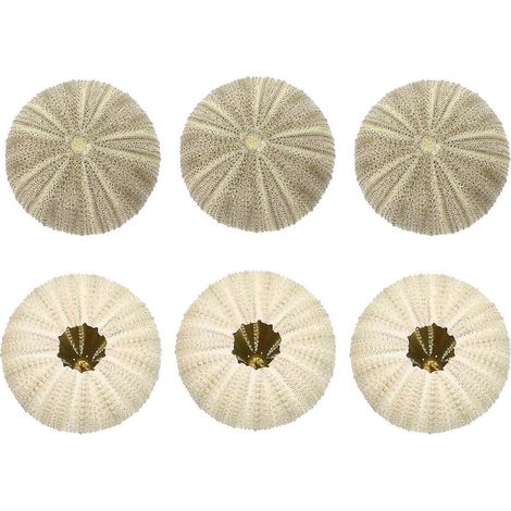 6er-set Luftpflanzentöpfe In Seeigelform, Ideal Als Tischdekoration Oder Bastelmaterial. – 5,00 X 5,00 X 2,60 Cm – Grün