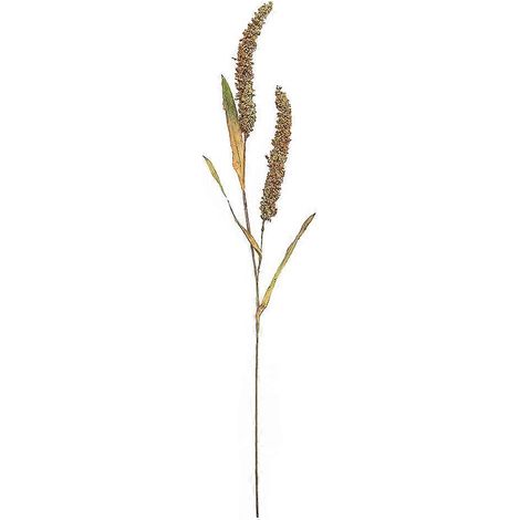 Künstliche Weizenähren Für Die Tischdekoration – 75,00 X 12,00 X 2,00 Cm – Grün