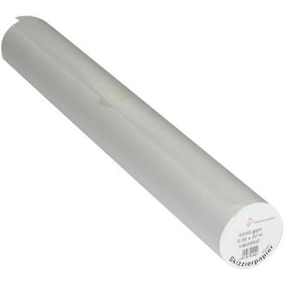 Hahnemühle Zeichenpapier Transparente Skizzierpapierrolle 0,33 x 20m 40/45 g/qm