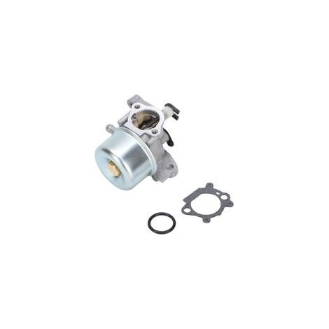 Carburateur Universel Pour Équipements De Jardin Compatible Avec Briggs & Stratton Modèles 790845 799871 799866 796707 794304 -