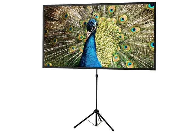 Celexon Ultra-lightweight Stativleinwand (schwarze Rückseite)