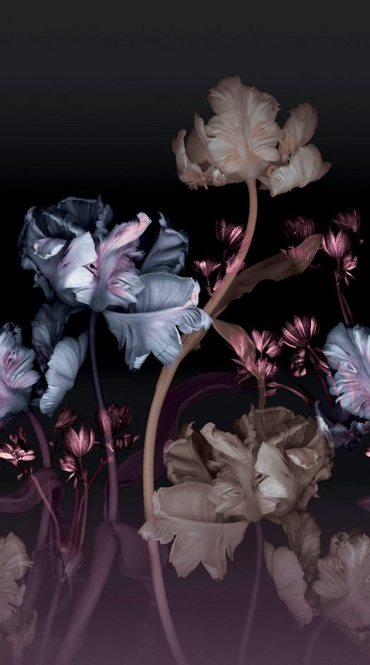 Fashion for walls Fototapete Vanda, glatt, floral, Phthalate frei Bild 2