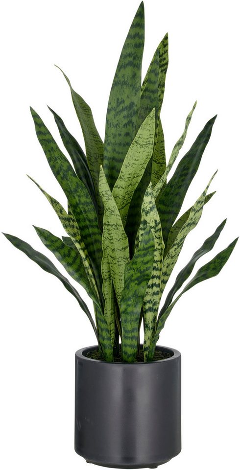 Kunstpflanze Sansevieria zeylanica, Creativ green, Höhe 90 cm, im eleganten Topf
