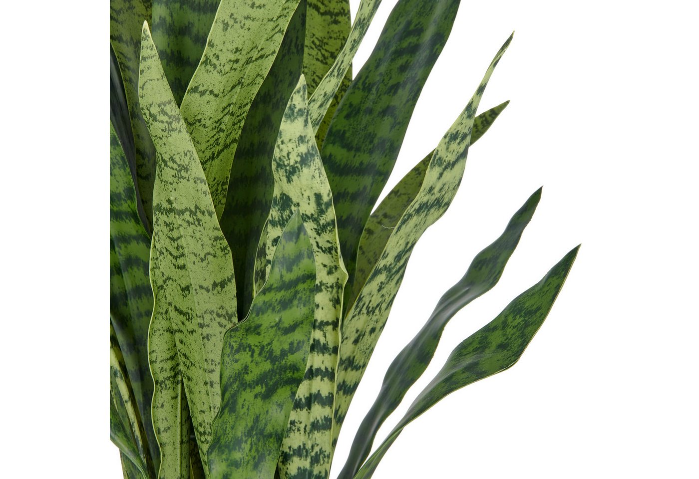 Kunstpflanze Sansevieria zeylanica, Creativ green, Höhe 90 cm, im eleganten Topf Bild 2