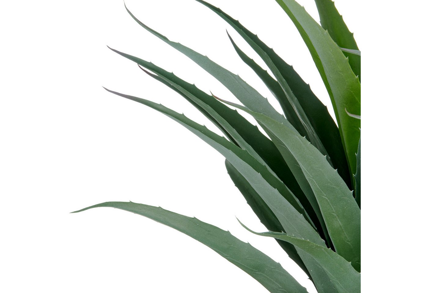 Kunstpflanze Agave, Creativ green, Höhe 75 cm, in UV-beständiger Ausführung Bild 2