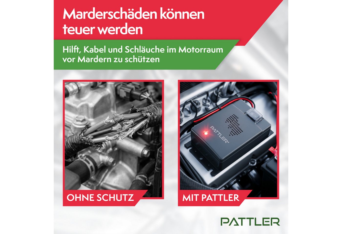 Pattler Ultraschall-Tierabwehr Marderschreck 12 Volt fürs Auto, 1 Gerät Bild 4