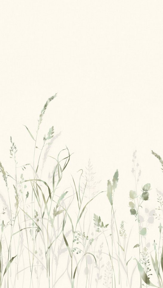living walls Fototapete The Wall 4 Botanic – Filigrane Gräserwiese Vlies-Fototapete, leicht strukturiert, matt, naturalistisch, Motiv, (1 St), Filigrane Gräserwiese mit dekorativer Tiefenwirkung Bild 5