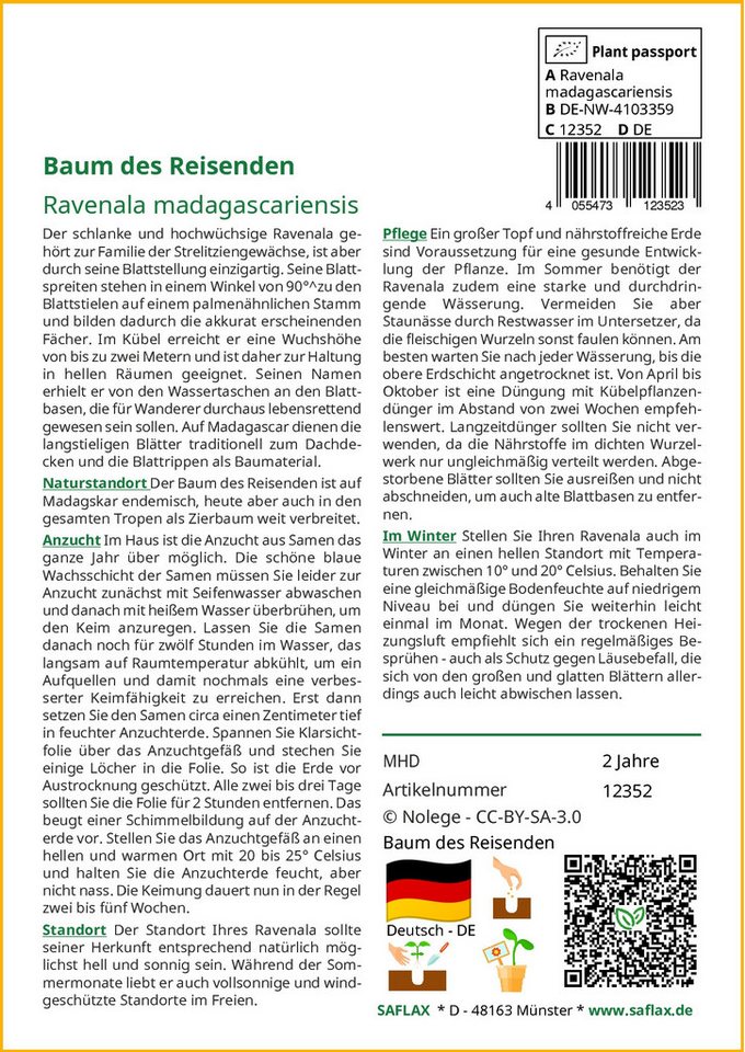 SAFLAX Blumensamen SAFLAX - Samen - Baum des Reisenden Bild 2