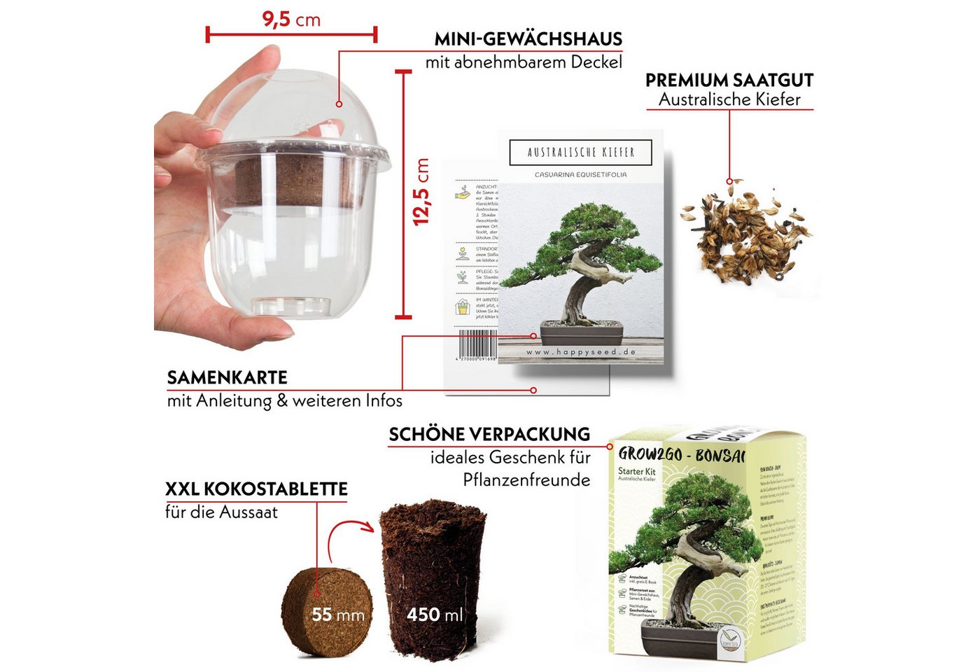 HappySeed Blumensamen GROW2GO Bonsai Starter Kit inkl. GRATIS eBook - Australische Kiefer, Bonsai Bild 2