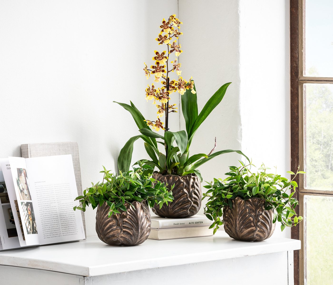 Dehner Übertopf Romaine, bauchige Form, Keramik matt, eleganter Indoor Blumentopf, mit bronzefarbenem Schimmer