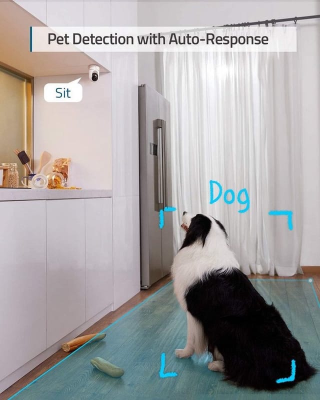 eufy Security Überwachungskamera Solo Indoor eufyCam P24 (Innenbereich, HomeBase nicht kompatibel)