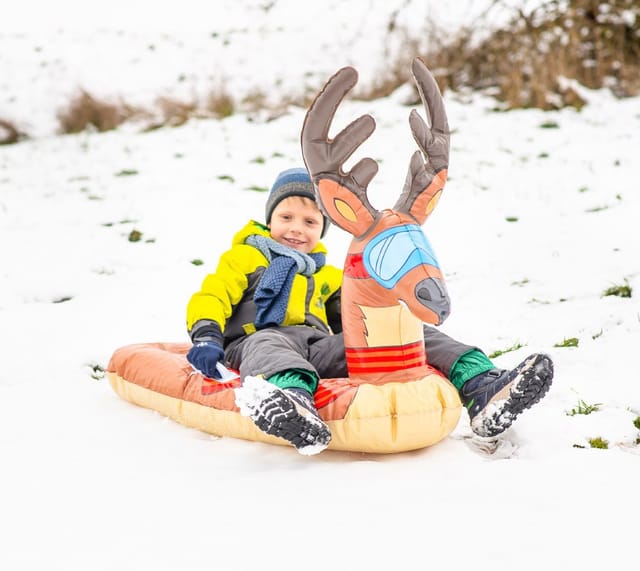 Alpine Blast Schlitten Rentier Kinderschlitten (1-tlg)