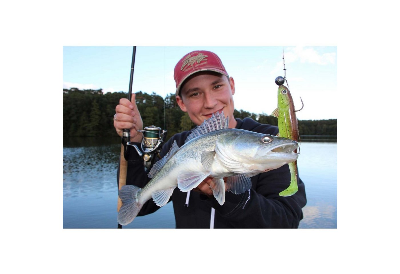 Jackson Fishing Kunstköder, Jackson The Fish 8cm Blue Shad Gummifisch Bild 3