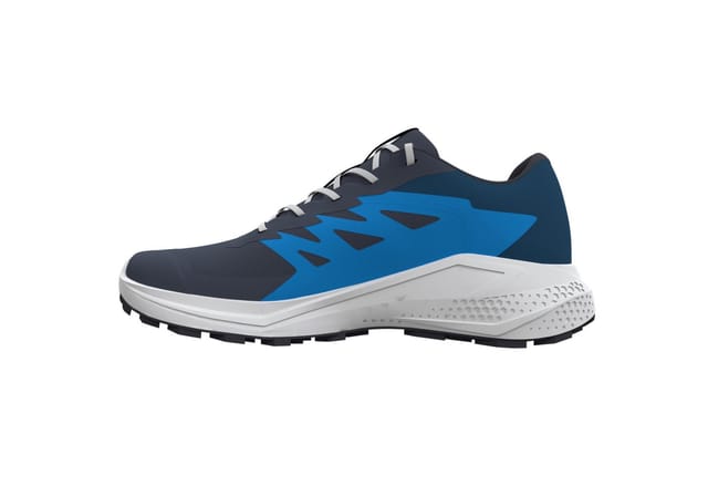 Salomon ALPHAGLIDE GORE-TEX Laufschuh wasserdicht