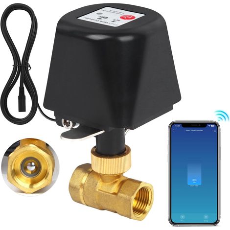 1 Wasserventil Aus Messing, App-steuerung, 2,4-ghz-wlan, Timer, Hausbewässerung
