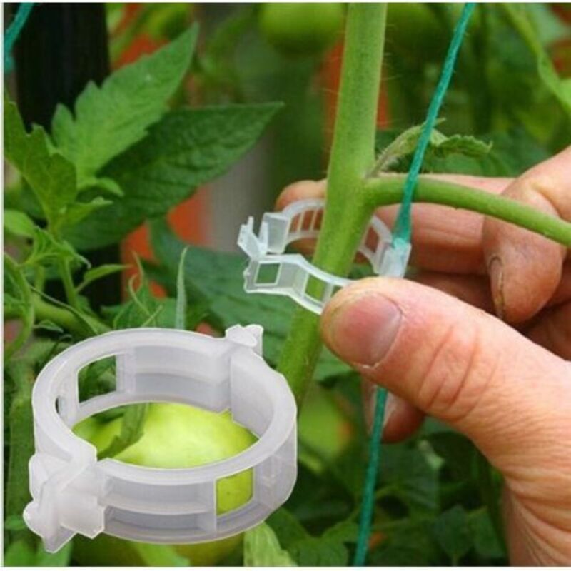 100 Stück Pflanzenstützen, Gartenclips, Tomatenclips – Stützen/verbinden Pflanzen/schnur