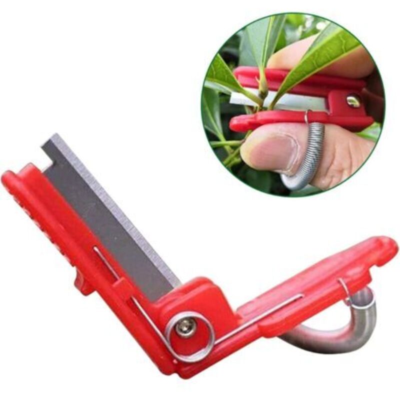 5 Stück Pflanzenpflückwerkzeug, Daumentrenner Für Den Garten, Erntewerkzeug Für Tee, Gemüse Und Obst