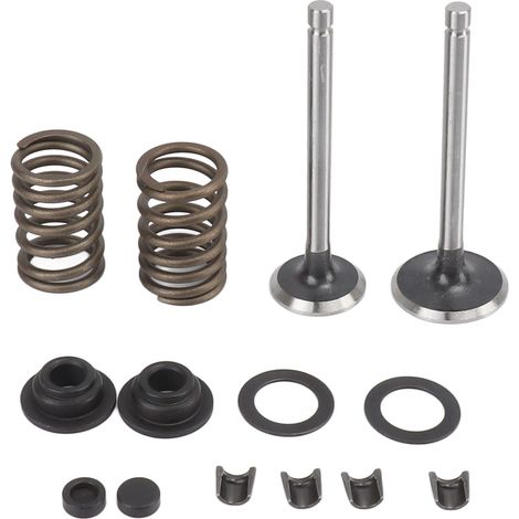 Teile Für Mikrofräsenventile, Verschleißfestes Eisen, Korrosionsbeständig, Federscheibe, Sicherungsclip-set Für Generator