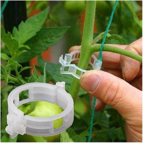 Packung Mit 200 Kunststoff-pflanzenstützclips Für Tomaten, Ideal Zum Befestigen Von Stängeln An Stäben, Robust Und Wiederverwendbar.