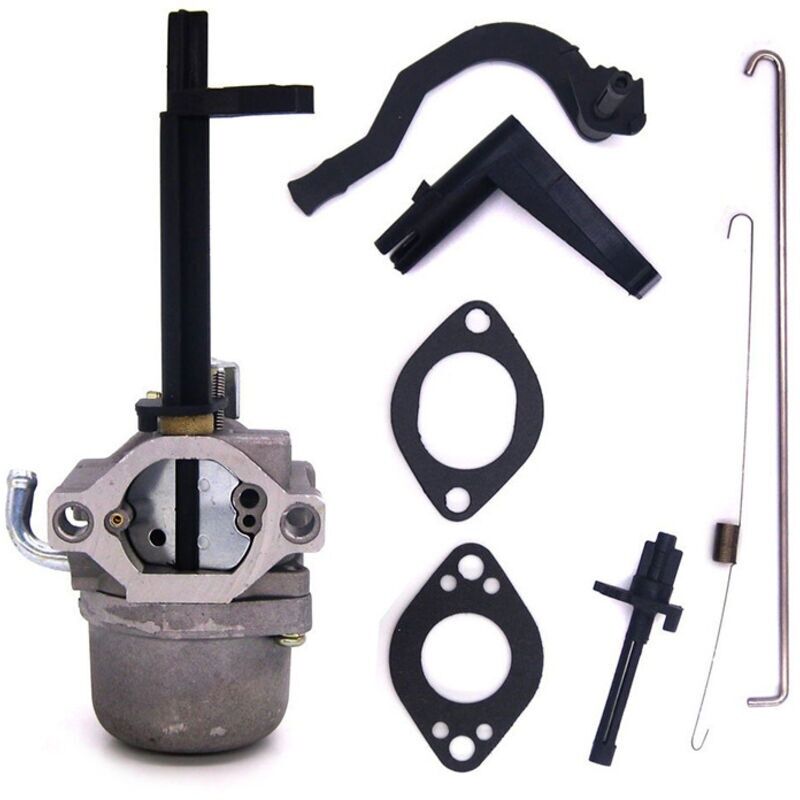 Der Vergaser Von Briggs & Stratton Wird Für Den 796323 796321 796322 699966 Rasenmäher Verwendet