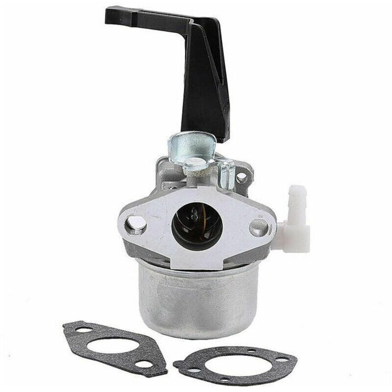 Vergaser Briggsstratton 696065 697422 Für Kettensäge 110402-0206-e1