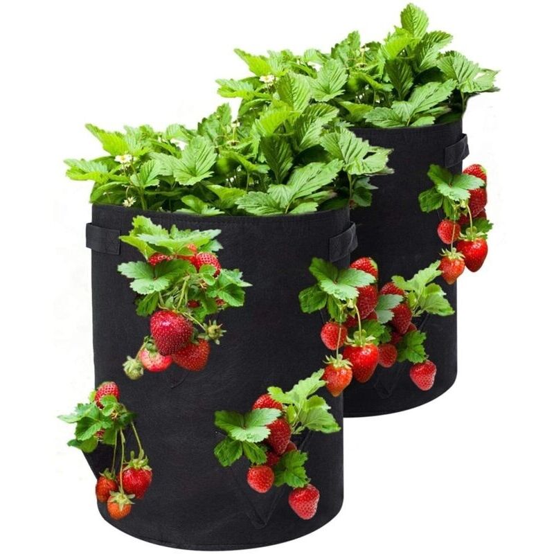 Anzuchtsäcke Für Erdbeeren. 2 Stück 18l/5 Gallonen Gemüsesack. Vlies-pflanzsack Mit Fenster. Gartengemüsesack (schwarz)