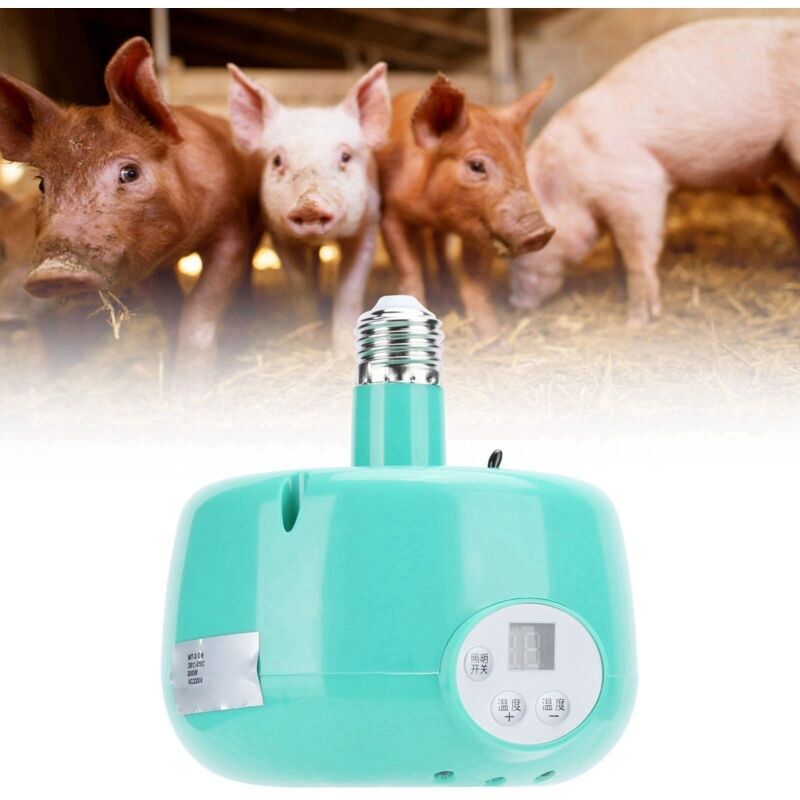 E27-wärmelampe. Heizthermostat Mit Einstellbarer Temperatur Für Wärmeschutzausrüstung