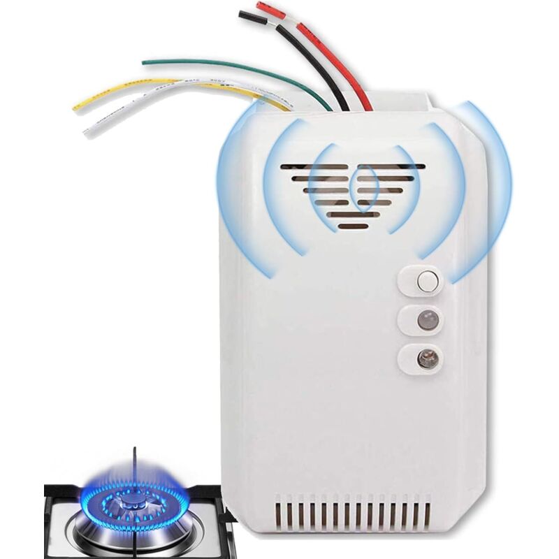 Propan-leckdetektor – Erdgasalarm 12 V, Hochpräziser Gassensor, Intelligenter Überwachungsmonitor, Sicherheitswarnung Für Zuhause, Küche Und Wohnmobil