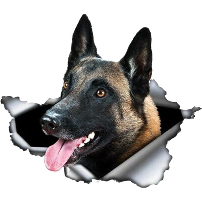 Belgischer Schäferhund Malinois Autoaufkleber, Reflektierende 3d-aufkleber, 25 Cm, Zerrissenes Design, Metallisch, Wasserdicht, Tieraufkleber Für Hunde