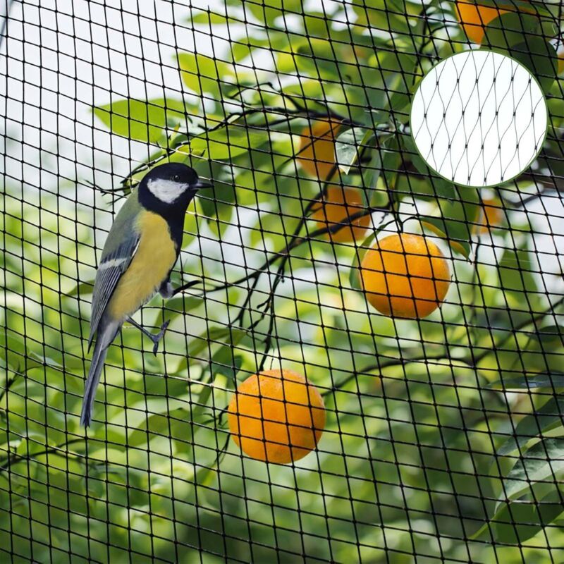 Vogelschutznetz, 4x10m Gartennetz, Taubennetz, Schutznetz, Gemüsegartennetz, Schutz Für Pflanzen, Gemüse Und Obst
