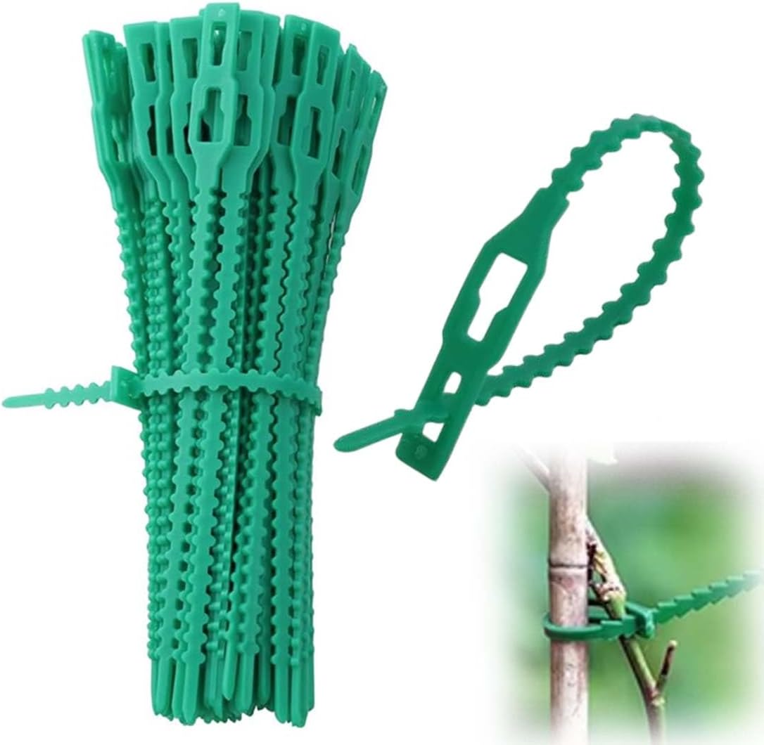 100 Stück Verstellbare Kunststoff-gartenbinder, Wiederverwendbare Kabelbinder Für Grünpflanzen Und Sträucher (13 Cm) (grün)