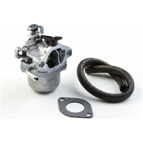 Briggs & Stratton 590399 Carburateur Remplace 796077
