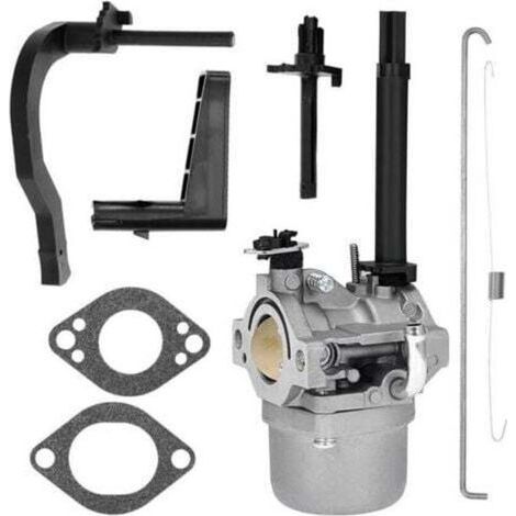 Carburateur Adapté Aux Modèles 591378, 699966, 699958, 796321 Et 696132 De Souffleuse À Neige P25