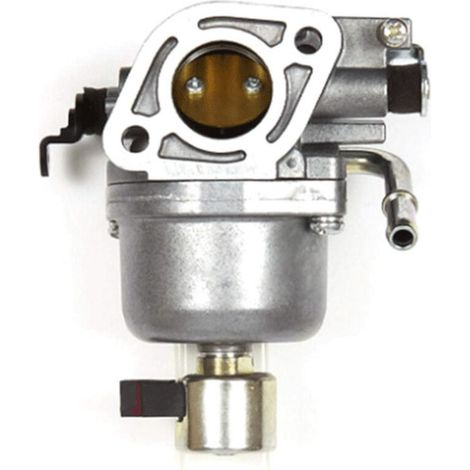 Le Carburateur 401577 Est Compatible Avec Le Briggs & Stratton 699807. Le Carburateur Briggs & Stratton 401577 Peut Remplacer Le 699807.