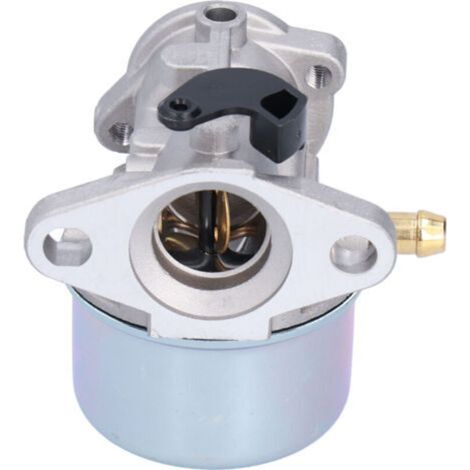Kit De Carburateur Avec Filtre À Air Pour Outils De Jardin – Adapté Aux Références 799868, 498170, 799872, 790821 – Compatibilité Garantie